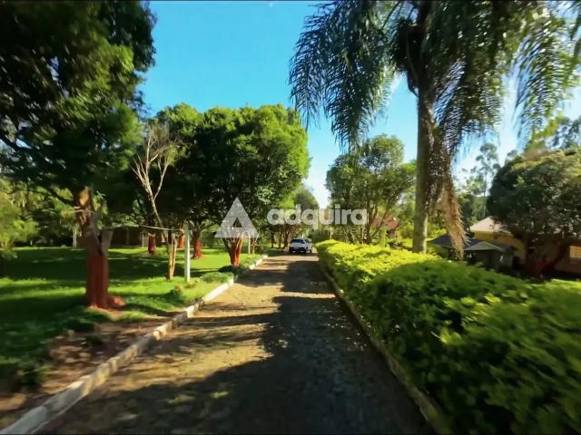 Sítio e chácara venda em Ponta Grossa, Região Geográfica Intermediária de Ponta Grossa