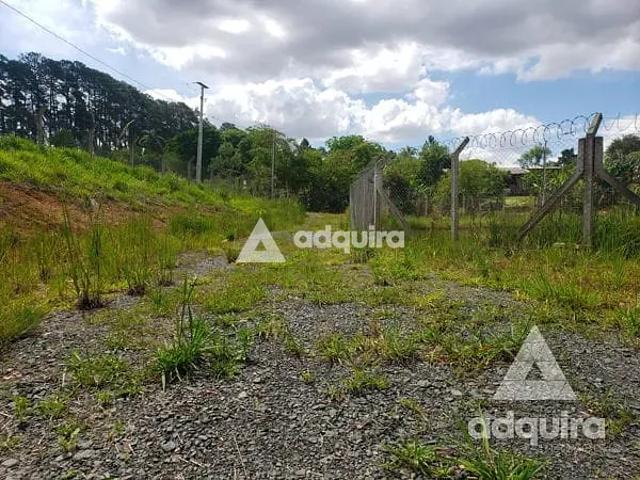 Sítio e chácara venda em Piriquitos, Ponta Grossa