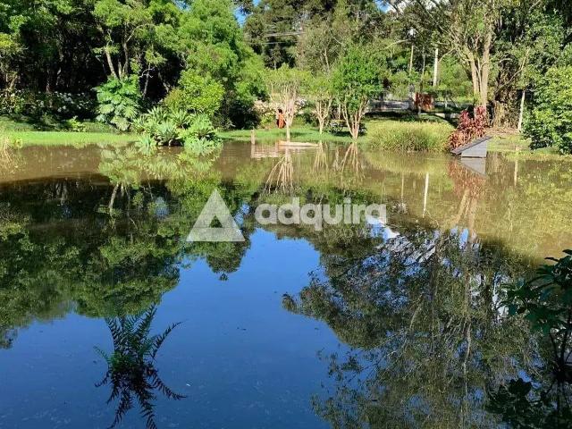 Sítio e chácara venda em Itaiacoca, Ponta Grossa