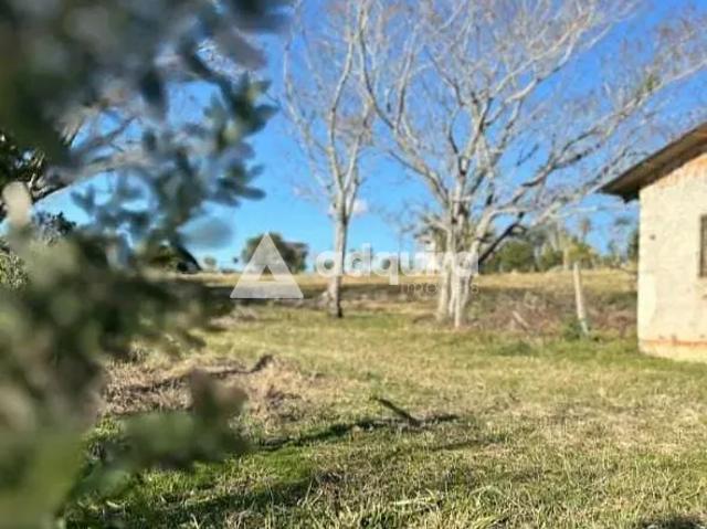 Sítio e chácara venda em Piriquitos, Ponta Grossa