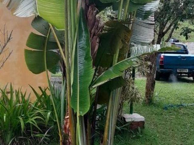 Sítio e chácara venda em Região Imediata de São Paulo, Região Metropolitana de São Paulo