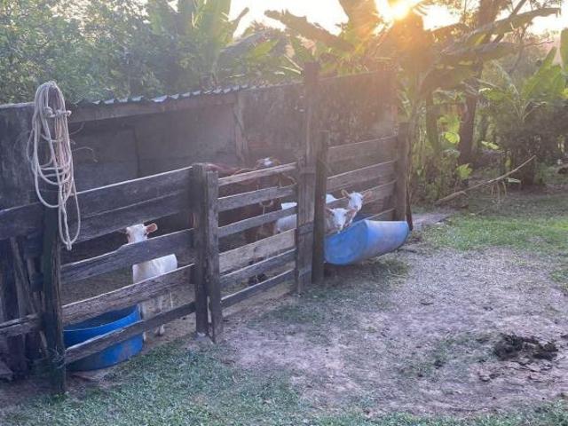 Sítio e chácara venda em Região Imediata de Piracicaba, Região Metropolitana de Piracicaba