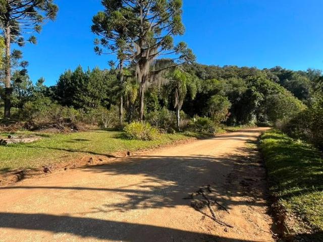 Sítio e chácara venda em Região Geográfica Imediata de Curitiba, Região Metropolitana de Curitiba