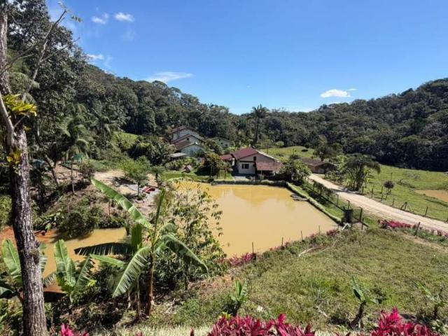 Sítio e chácara venda em Braço do Sul, Blumenau