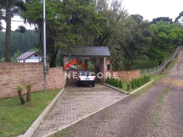 Sítio e chácara venda em Região Geográfica Imediata de Caxias do Sul, Caxias do Sul