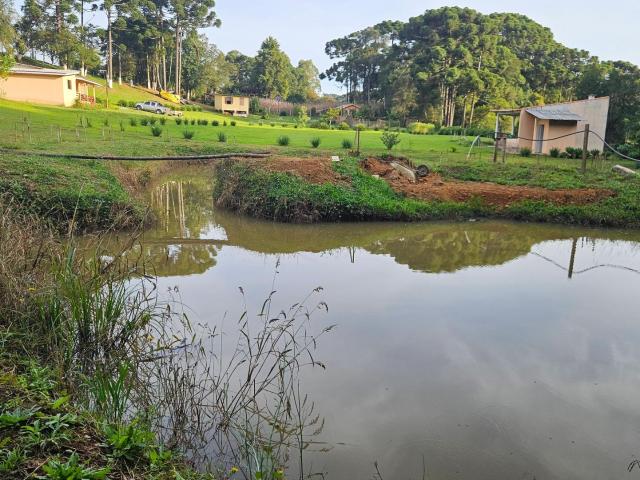 Sítio e chácara venda em Região Geográfica Imediata de Curitiba, Região Metropolitana de Curitiba