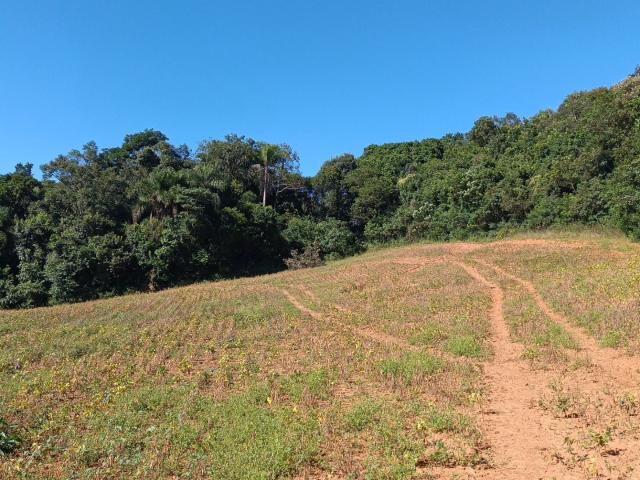 Sítio e chácara venda em Região Geográfica Imediata de Curitiba, Região Metropolitana de Curitiba