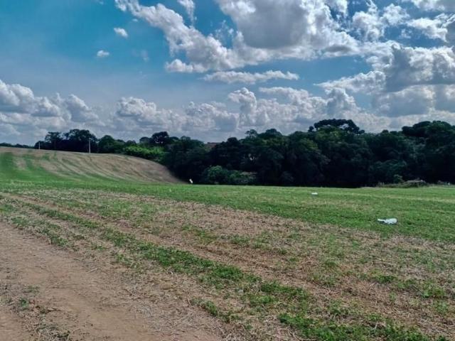 Sítio e chácara venda em Região Geográfica Imediata de Curitiba, Região Metropolitana de Curitiba