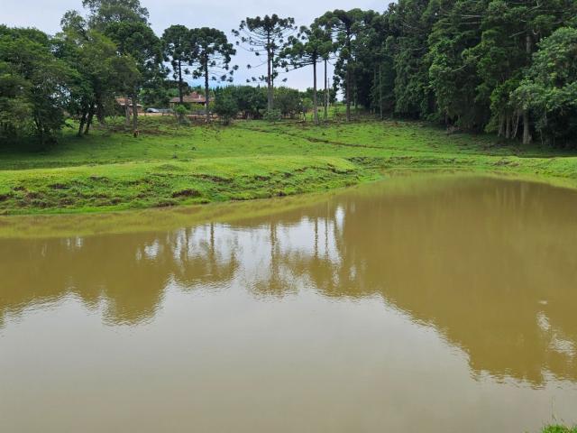 Sítio e chácara venda em Região Geográfica Imediata de Curitiba, Região Metropolitana de Curitiba