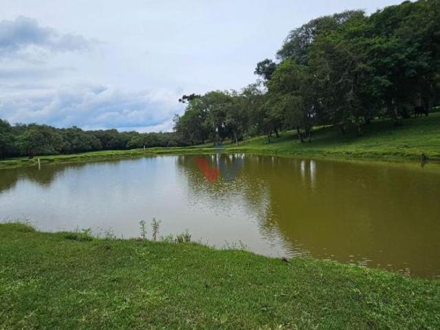 Sítio e chácara venda em Região Geográfica Imediata de Curitiba, Região Metropolitana de Curitiba