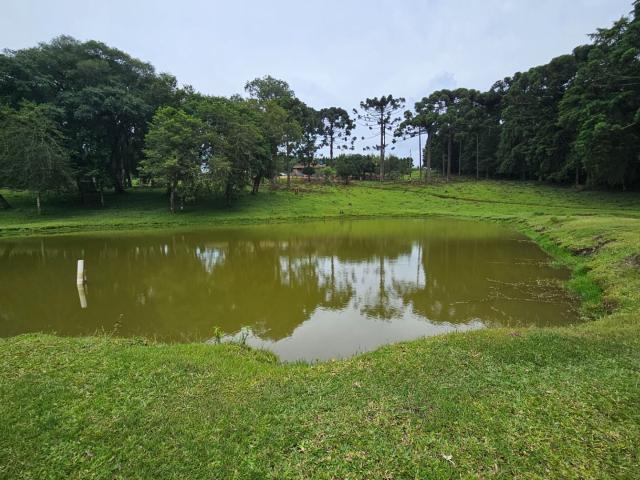 Sítio e chácara venda em Região Geográfica Imediata de Curitiba, Região Metropolitana de Curitiba