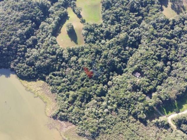 Sítio e chácara venda em Região Geográfica Imediata de Curitiba, Região Metropolitana de Curitiba