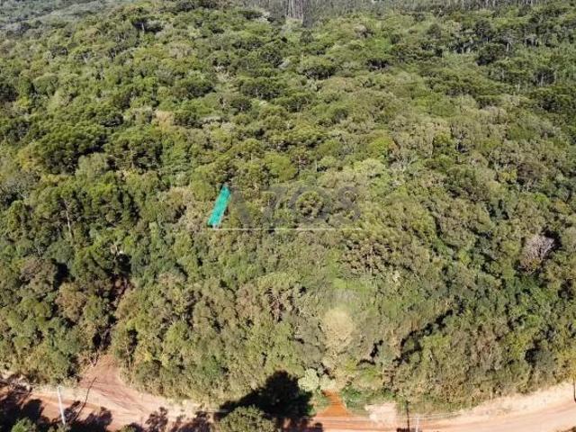 Sítio e chácara venda em Região Geográfica Imediata de Curitiba, Região Metropolitana de Curitiba