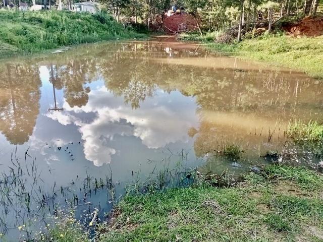 Sítio e chácara venda em Região Geográfica Imediata de Curitiba, Região Metropolitana de Curitiba