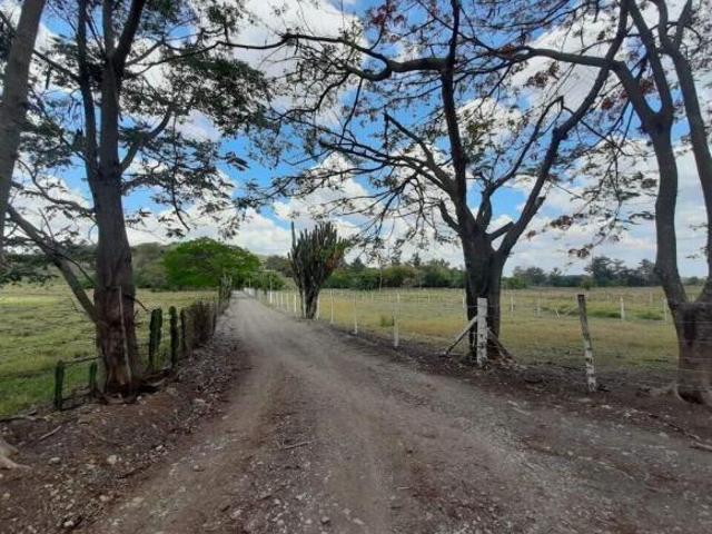 Sítio e chácara venda em Região Imediata de Piracicaba, Região Metropolitana de Piracicaba