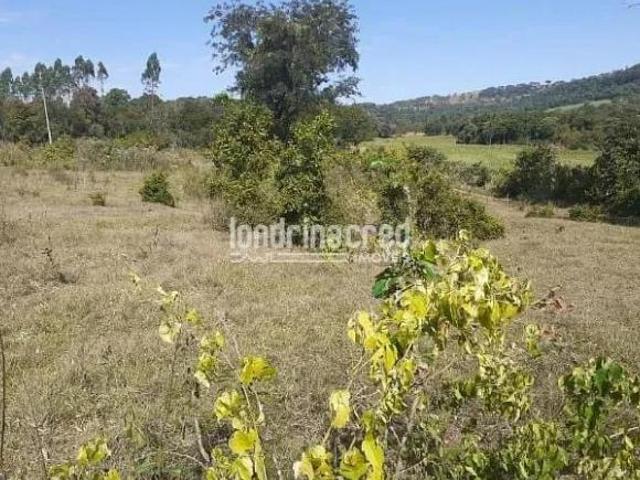 Sítio e chácara venda em Região Geográfica Imediata de Toledo, Santa Helena
