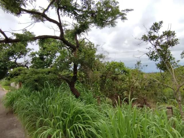 Fazenda venda em Região Geográfica Imediata do Distrito Federal, Região Integrada de Desenvolvimento do Distrito Federal e Entorno