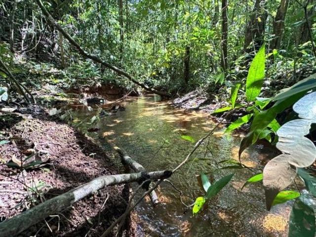 Sítio e chácara venda em Região Geográfica Imediata de Luziânia, Região Integrada de Desenvolvimento do Distrito Federal e Entorno