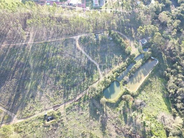 Sítio e chácara venda em Região Geográfica Imediata do Distrito Federal, Região Integrada de Desenvolvimento do Distrito Federal e Entorno