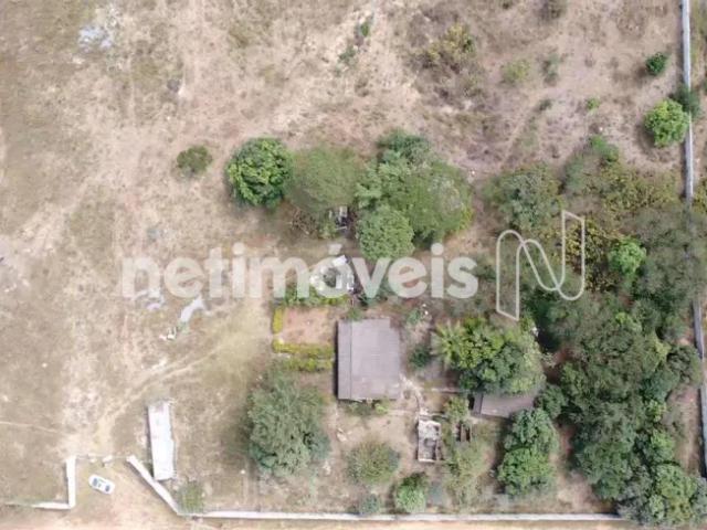 Fazenda venda em Região Geográfica Imediata do Distrito Federal, Região Integrada de Desenvolvimento do Distrito Federal e Entorno