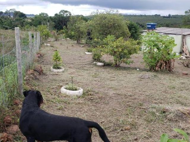 Sítio e chácara venda em Região Geográfica Imediata de Anápolis, Região Integrada de Desenvolvimento do Distrito Federal e Entorno