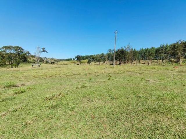 Sítio e chácara venda em Região Geográfica Imediata de Caldas Novas-Morrinhos, Morrinhos