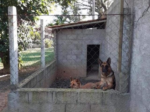 Sítio e chácara venda em Guaianases, São Paulo