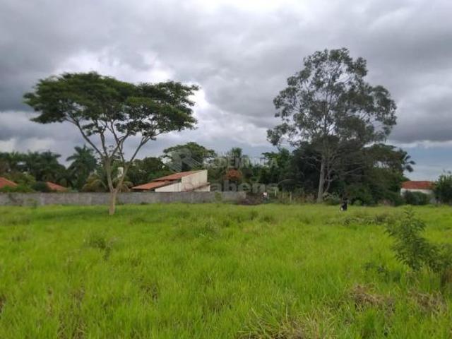 Sítio e chácara venda em Região Imediata de São José do Rio Preto, Região Metropolitana de São José do Rio Preto