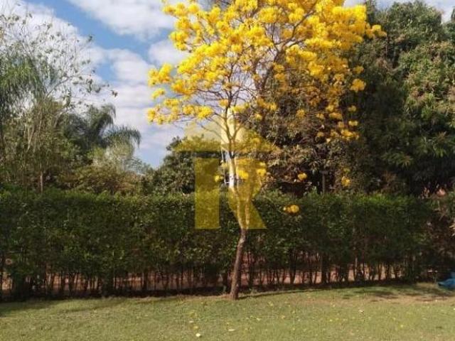 Sítio e chácara venda em Região Imediata de São José do Rio Preto, Região Metropolitana de São José do Rio Preto