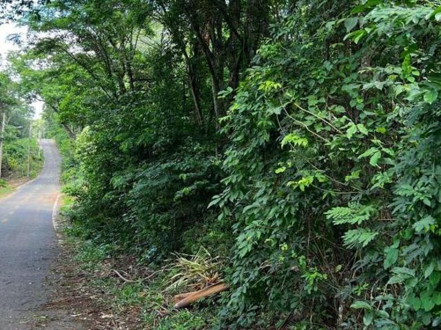 Sítio e chácara venda em Região Geográfica Imediata de Goiânia, Goiânia