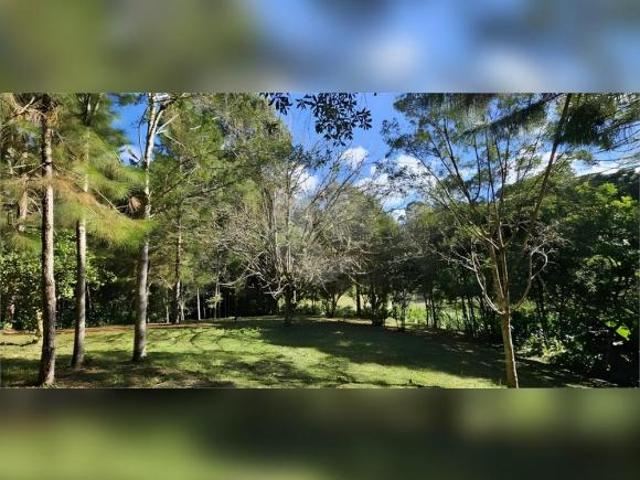 Sítio e chácara venda em Região Geográfica Imediata de Curitiba, Região Metropolitana de Curitiba