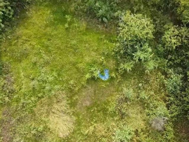 Sítio e chácara venda em Região Geográfica Imediata de Marechal Cândido Rondon, Pato Bragado