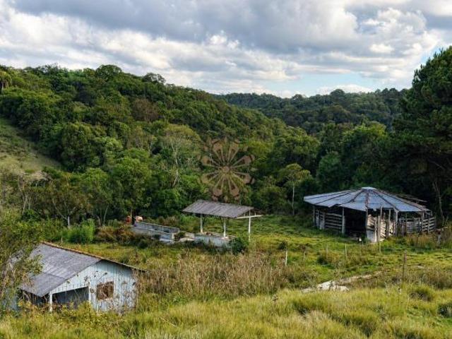 Sítio e chácara venda em Região Geográfica Imediata de Curitiba, Região Metropolitana de Curitiba