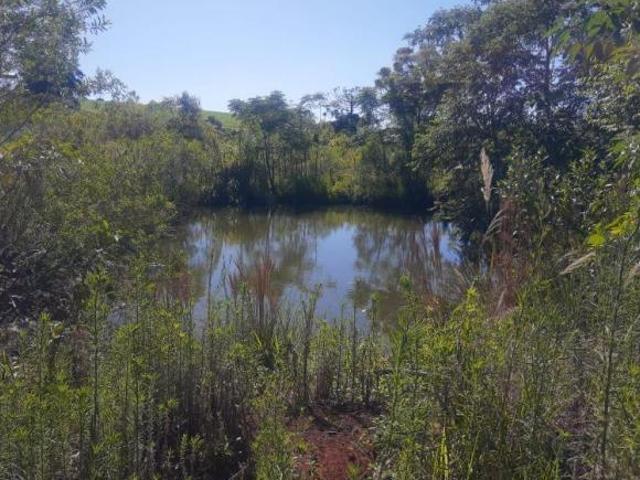 Sítio e chácara venda em Altônia, Região Geográfica Intermediária de Maringá