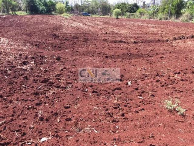 Sítio e chácara venda em Região Geográfica Imediata de Londrina, Londrina