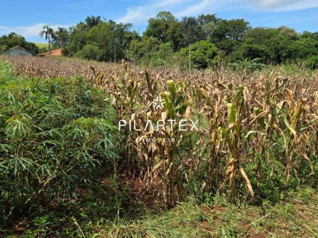 Sítio e chácara venda em Região Geográfica Imediata de Londrina, Londrina