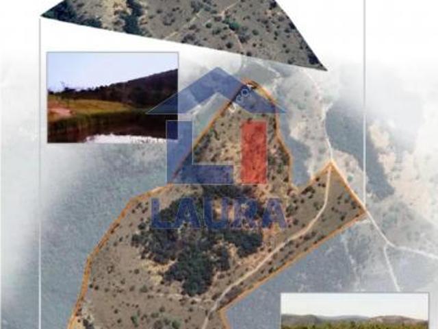 Sítio e chácara venda em Região Geográfica Imediata de Divinópolis, Conceição do Pará