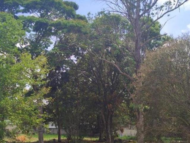 Sítio e chácara venda em Francelinos, Juatuba