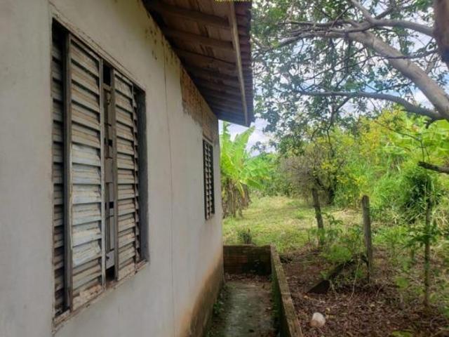 Sítio e chácara venda em Região Geográfica Imediata de Londrina, Ibiporã