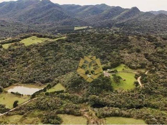 Sítio e chácara venda em Piraquara, Região Geográfica Intermediária de Curitiba
