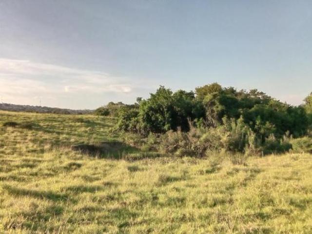 Sítio e chácara venda em Região Geográfica Imediata de Santo Antônio da Platina, Jacarezinho