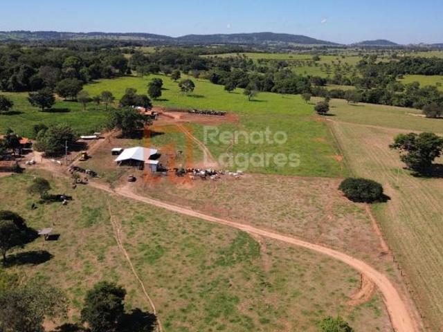 Sítio e chácara venda em Região Geográfica Imediata de São Luís de Montes Belos, Sanclerlândia