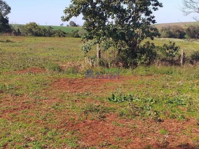 Sítio e chácara venda em Região Geográfica Imediata de Santo Ângelo, Santo Angelo