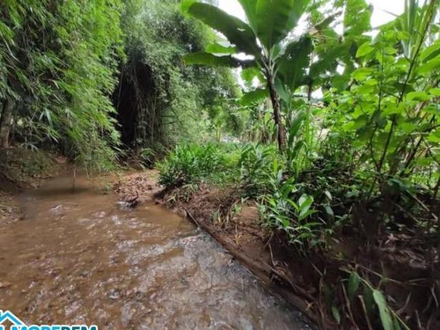 Sítio e chácara venda em Região Geográfica Imediata de Ipatinga, Região Metropolitana do Vale do Aço
