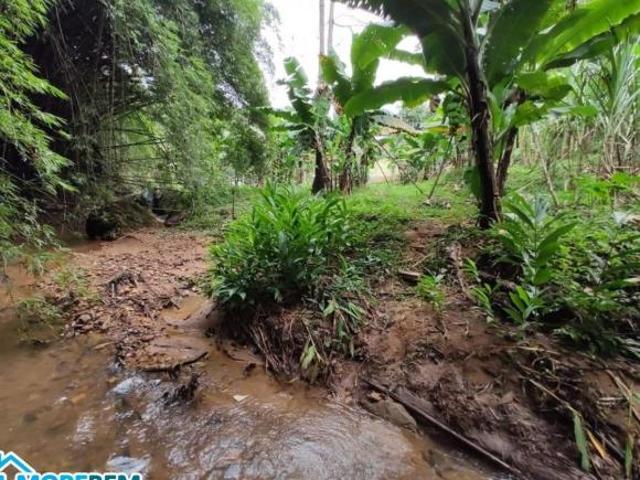 Sítio e chácara venda em Região Geográfica Imediata de Ipatinga, Região Metropolitana do Vale do Aço