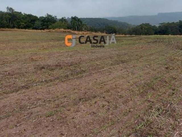 Sítio e chácara venda em Região Geográfica Imediata de Curitiba, Região Metropolitana de Curitiba