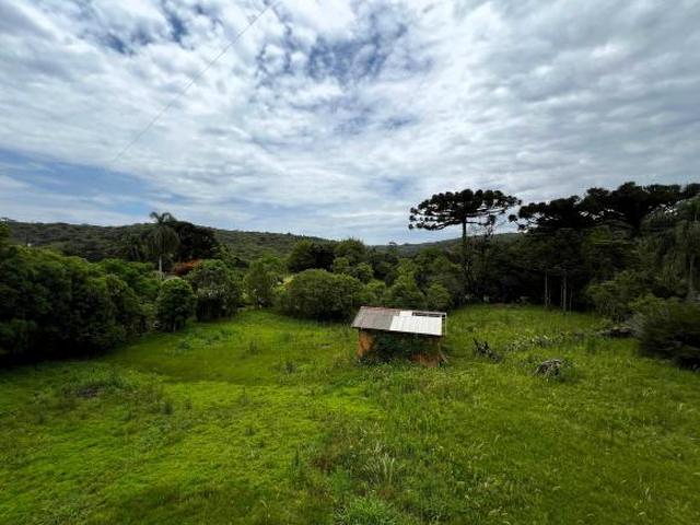 Sítio e chácara venda em Região Geográfica Imediata de Ponta Grossa, Ponta Grossa