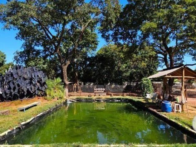 Sítio e chácara venda em Região Imediata de Ribeirão Preto, Região Metropolitana de Ribeirão Preto