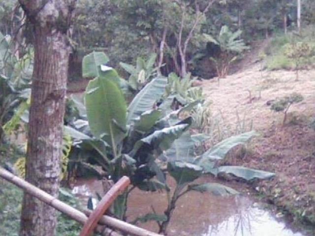 Sítio e chácara venda em Jardim Virgínia, Itapecerica da Serra