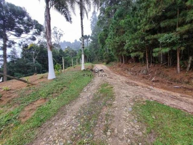 Sítio e chácara venda em Região Geográfica Imediata de Curitiba, Região Metropolitana de Curitiba